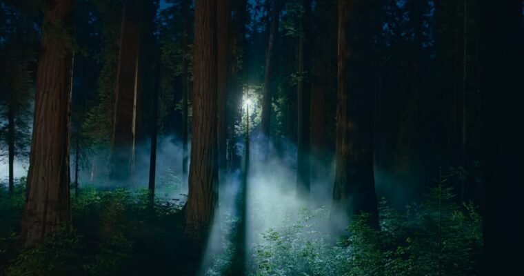 Últimas betas de macOS Sequoia añaden nuevos fondos de pantalla – Novedades y descargas